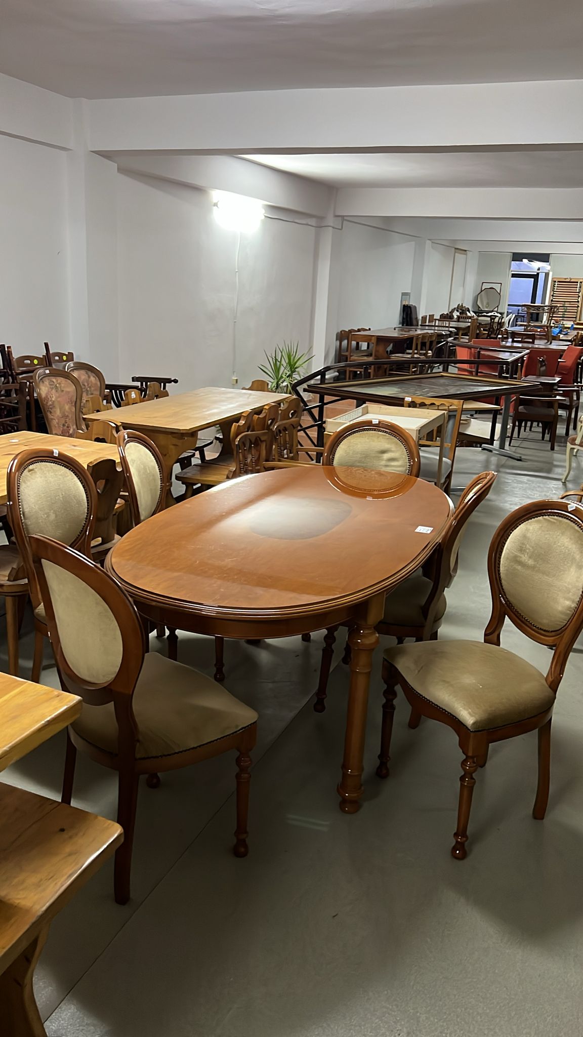 Set masă ovală cu 6 scaune sh de calitate italiană S 4727